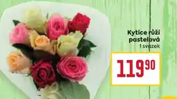 Billa Kytice růží pastelová nabídka