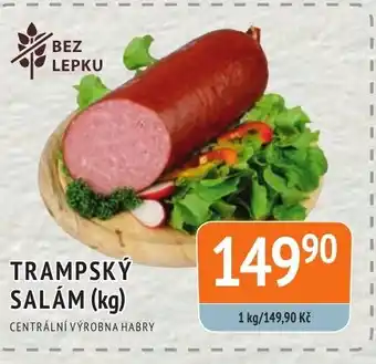 Coop hb TRAMPSKÝ SALAM (kg) nabídka