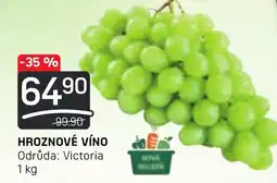 Flop HROZNOVÉ VÍNO nabídka