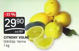 Flop CITRONY VOLNÉ nabídka