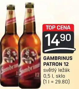 Flop GAMBRINUS PATRON 12 0.5L nabídka
