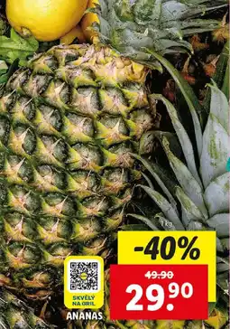Lidl ANANAS nabídka