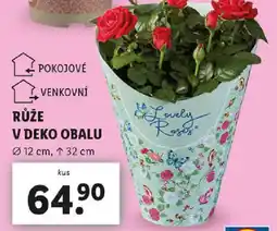 Lidl RŮŽE V DEKO OBALU nabídka