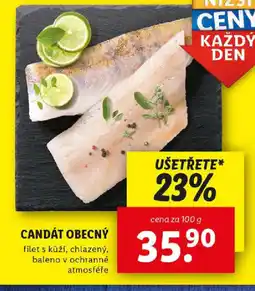 Lidl CANDÁT OBECNÝ nabídka