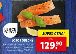 Lidl LOSOS OBECNÝ nabídka