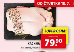 Lidl KACHNA nabídka