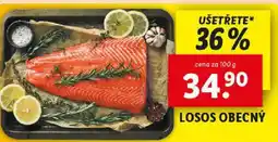Lidl LOSOS OBECNÝ nabídka