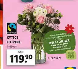 Lidl Kytice florine nabídka