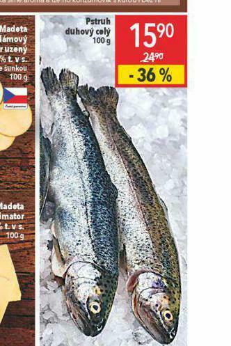 Globus Pstruh duhový celý nabídka