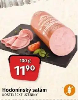 Coop Hodonínský salám nabídka
