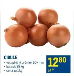 Makro CIBULE nabídka