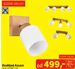 Asko Osvětlení Assam nabídka