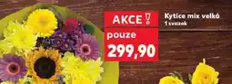 Kaufland Kytice mix velká nabídka