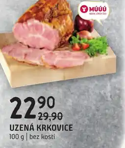 Terno UZENÁ KRKOVICE nabídka