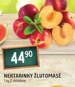 Terno NEKTARINKY ŽLUTOMASÉ nabídka