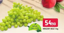 Trefa HROZNY BÍLÉ 1 kg nabídka