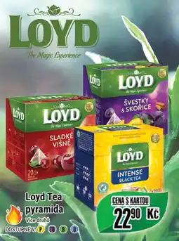 Tamda Foods Loyd Tea pyramida nabídka