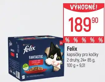 Globus Felix kapsičky pro kočky nabídka