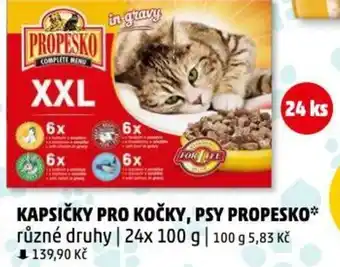 Penny Market KAPSIČKY PRO KOČKY, PSY PROPESKO nabídka