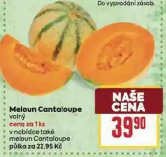 Billa Meloun Cantaloupe nabídka