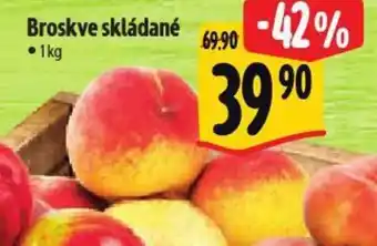 Albert Broskve skládané nabídka