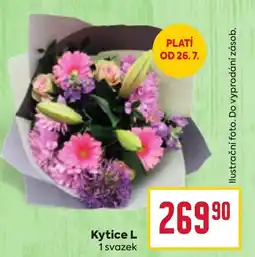 Billa Kytice L nabídka