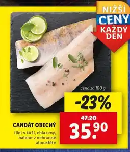 Lidl Candát obecný nabídka