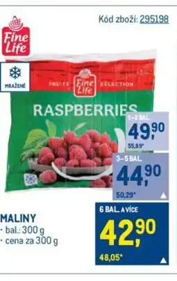 Makro MALINY nabídka