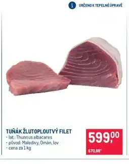 Makro TUŇÁK ŽLUTOPLOUTVÝ FILET nabídka