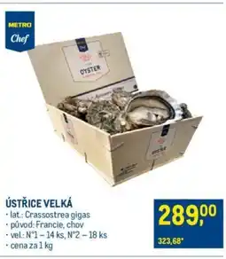 Makro ÚSTŘICE VELKÁ nabídka