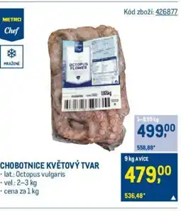 Makro CHOBOTNICE KVĚTOVÝ TVAR nabídka