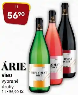 Terno ÁRIE nabídka