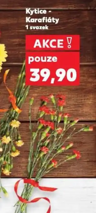 Kaufland Kytice- Karafiáty nabídka