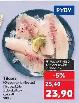 Kaufland Tilápie nabídka