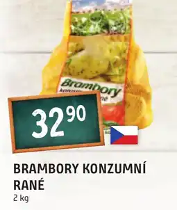 Terno BRAMBORY KONZUMNÍ RANÉ 2 kg nabídka
