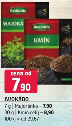 Terno AVOKÁDO nabídka