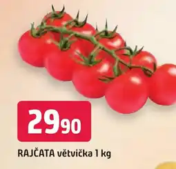 Trefa RAJČATA větvička 1 kg nabídka