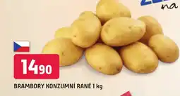 Trefa BRAMBORY KONZUMNÍ RANÉ 1 kg nabídka