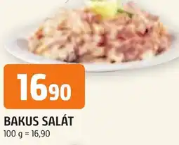 Trefa BAKUS SALÁT nabídka