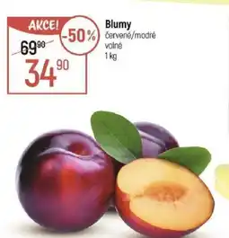 Globus Blumy nabídka