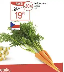 Globus Mrkev s natí nabídka