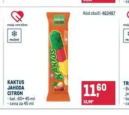 Makro Zmrzlina kaktus nabídka