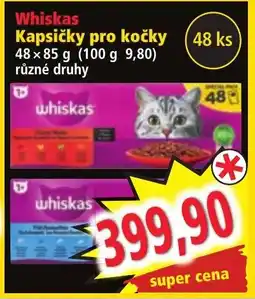 Norma Kapsičky pro kočky nabídka