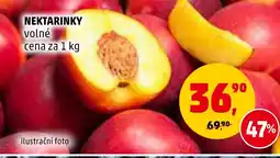 Penny Market NEKTARINKY nabídka