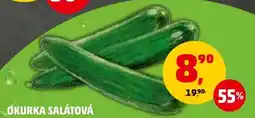 Penny Market OKURKA SALÁTOVÁ nabídka