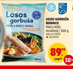 Penny Market LOSOS GORBUŠA NOWACO nabídka