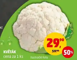 Penny Market KVĚTÁK nabídka