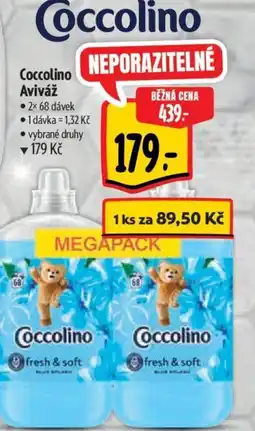 Albert Coccolino Aviváž nabídka