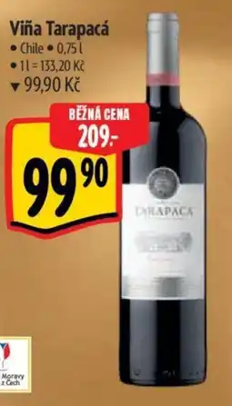 Albert Viña Tarapacá nabídka