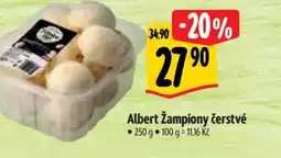 Albert Albert žampiony čerstvé nabídka